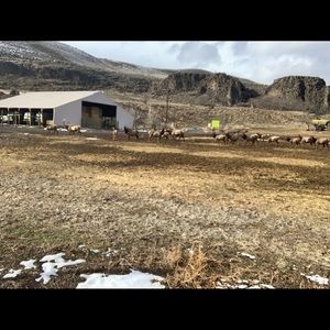 Meet your Posher, Scott